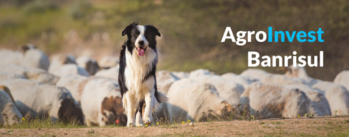 AgroInvest AgroInvest